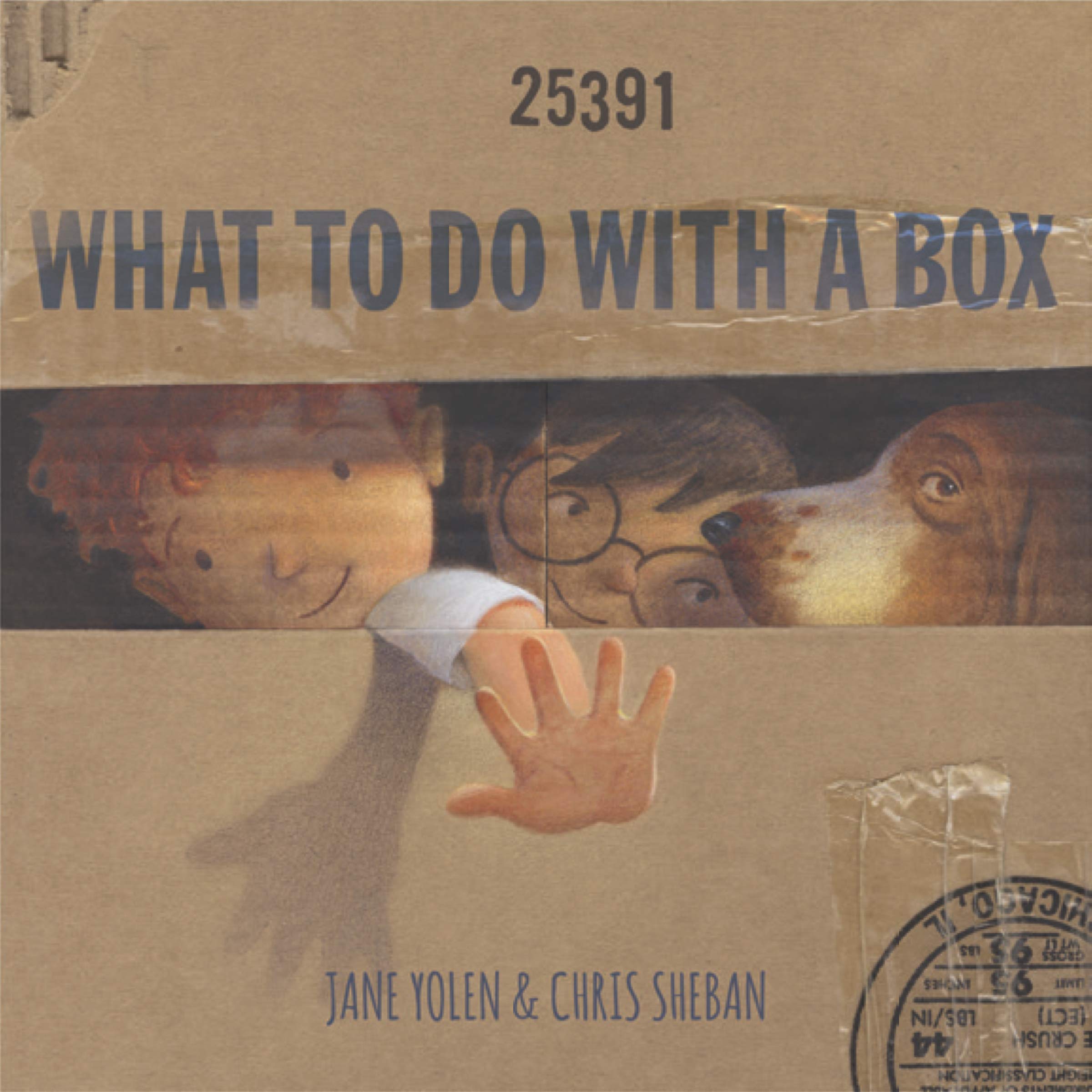 What to Do with a Box book cover